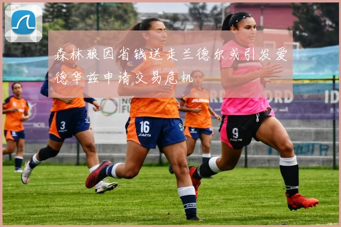 森林狼因省钱送走兰德尔或引发爱德华兹申请交易危机