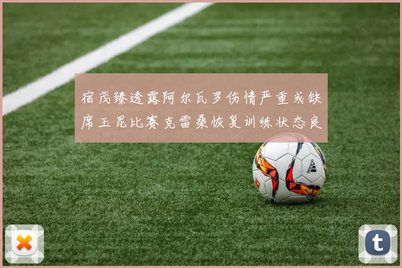 宿茂臻透露阿尔瓦罗伤情严重或缺席玉昆比赛克雷桑恢复训练状态良好