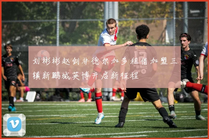 刘彬彬赵剑非德尔加多租借加盟三镇新鹏城英博开启新征程