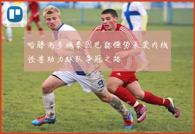 哈滕老乡施泰因巴赫强势来袭内线怪兽助力球队争冠之路