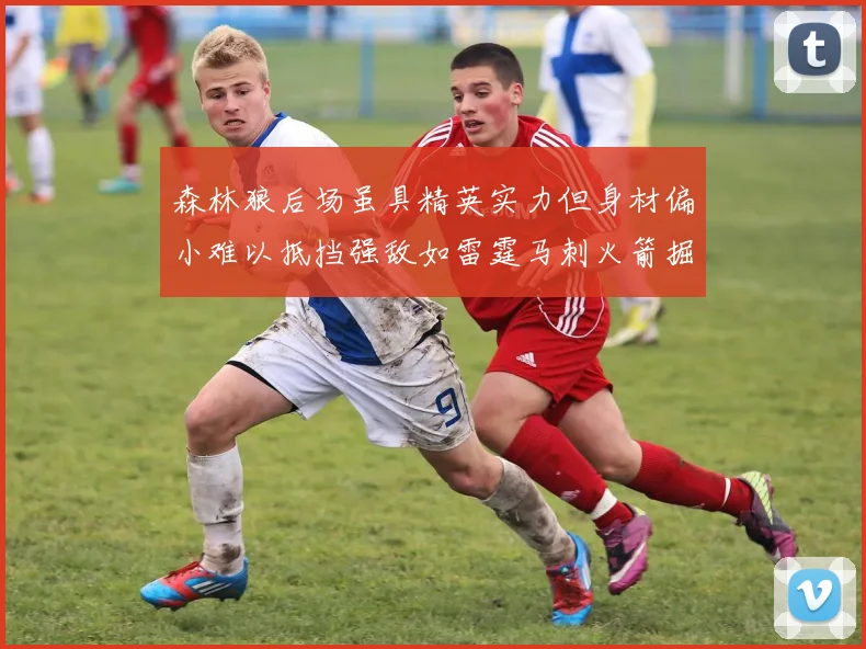 森林狼后场虽具精英实力但身材偏小难以抵挡强敌如雷霆马刺火箭掘金